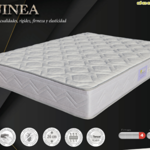 Guinea Colchon - Desycon