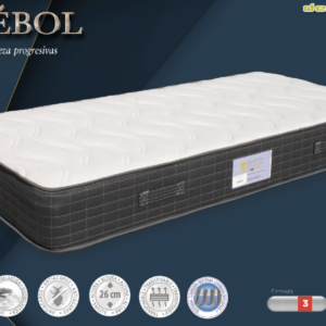 Trébol Colchón - Desycon