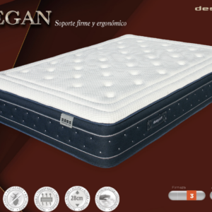 Megan Colchón- Desycon